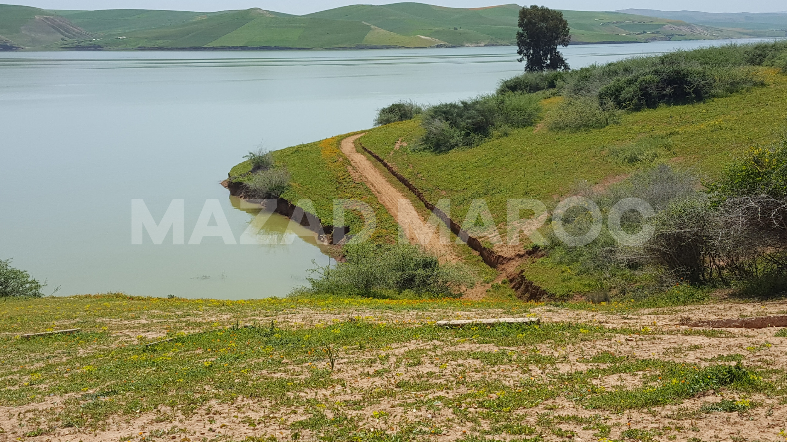 Terrain Titré 16 000 m2 au bord du Lac du Barrage EL Kansera au Nord de Khemisset
